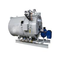 Fired Steam Boiler