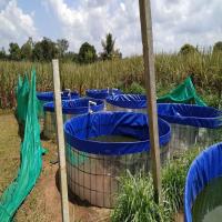 Fish Farming Tank