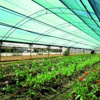 Floriculture Shade Net