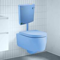 Flushing Toilet Cistern