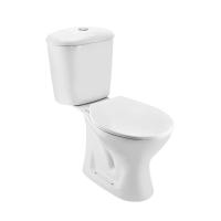 Flushing Toilet Cistern