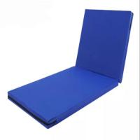 Foam Fowler Mattress