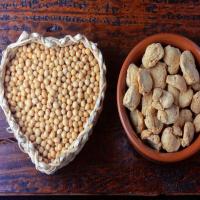 Food Item Soya Chunks