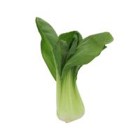 Fresh Bok Choy