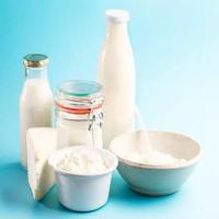 Fresh Healthy Dairy Curd Image
