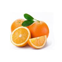 Fresh Orange Fruit