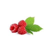 Fresh Red Raspberry Image