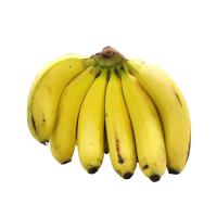 Fresh Robusta Banana