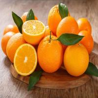Fresh Sweet Orange