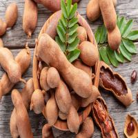 Fresh Tamarind Pods