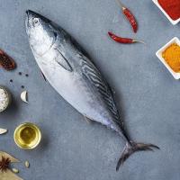 Fresh Tuna Fish Image