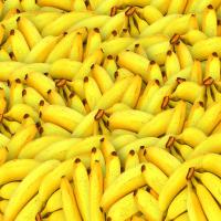 Fresh Yellow Bananas