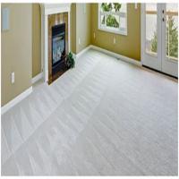 Frieze Carpet Flooring, Durable, bulkier look