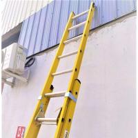 FRP Wall Ladder