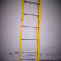 FRP Wall Ladders
