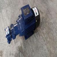 Gear Monoblock Pump