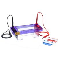 Gel Electrophoresis Equipment