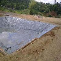 Geomembrane Agriculture Plant Image