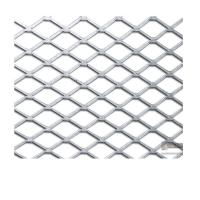 GI Expanded Mesh