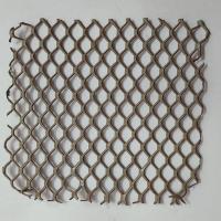 GI Mesh Defence Image