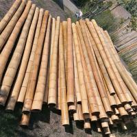 Giant Bamboo Sticks, Round shaped, green color