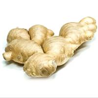 Ginger Organic Fresh 