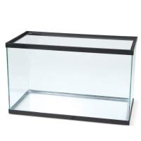 Glass Aquarium Tank