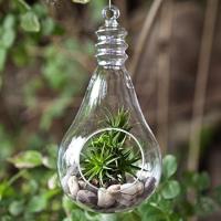 Glass Hanging Planter