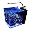 Glass Marine Aquarium