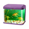 Glass Moulded Aquarium