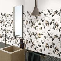 Glossy Ceramic Wall Tiles Image