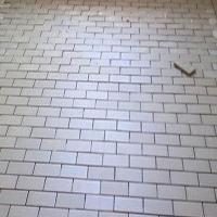 Glossy Acid Proof Tiles