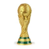 Gold Football Trophy Image
