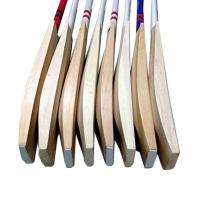 Gold Leather Cricket Bat