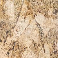 Best Price Yellow Alaska Gold Granite Manufacturer