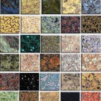 Buy Beautiful Color Smooth Texture granite stone Slabs