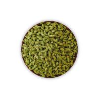 Green Fresh Cardamom