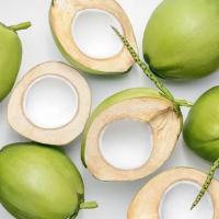 Green Fresh Coconut Image