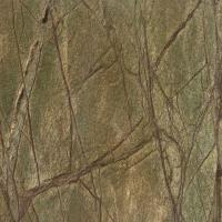 Green Rainforest Sandstone