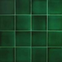 Polished Green Tiles Beuaty
