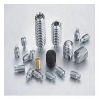 Stainless Steel Screws Grub, Grub Screw Manufacturers