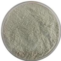 Gypsum Powder