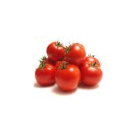 Healthy Fresh Tomato