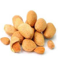 Healthy Natural Almond Image