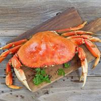 Healthy Sea Crab