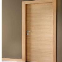 Home Flush Door Image