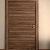 Home Flush Door