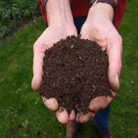 Homemade Coco Peat, Naturally anti fungal material