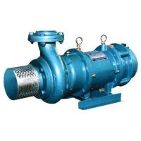 Horizontal Submersible Pump