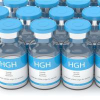 Human Growth Hormone Injection, Endocrine system